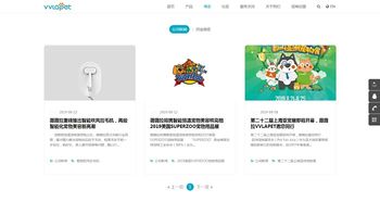 卓越邁創軟件助力薇薇拉網站成功上線，開啟品牌數字新篇章